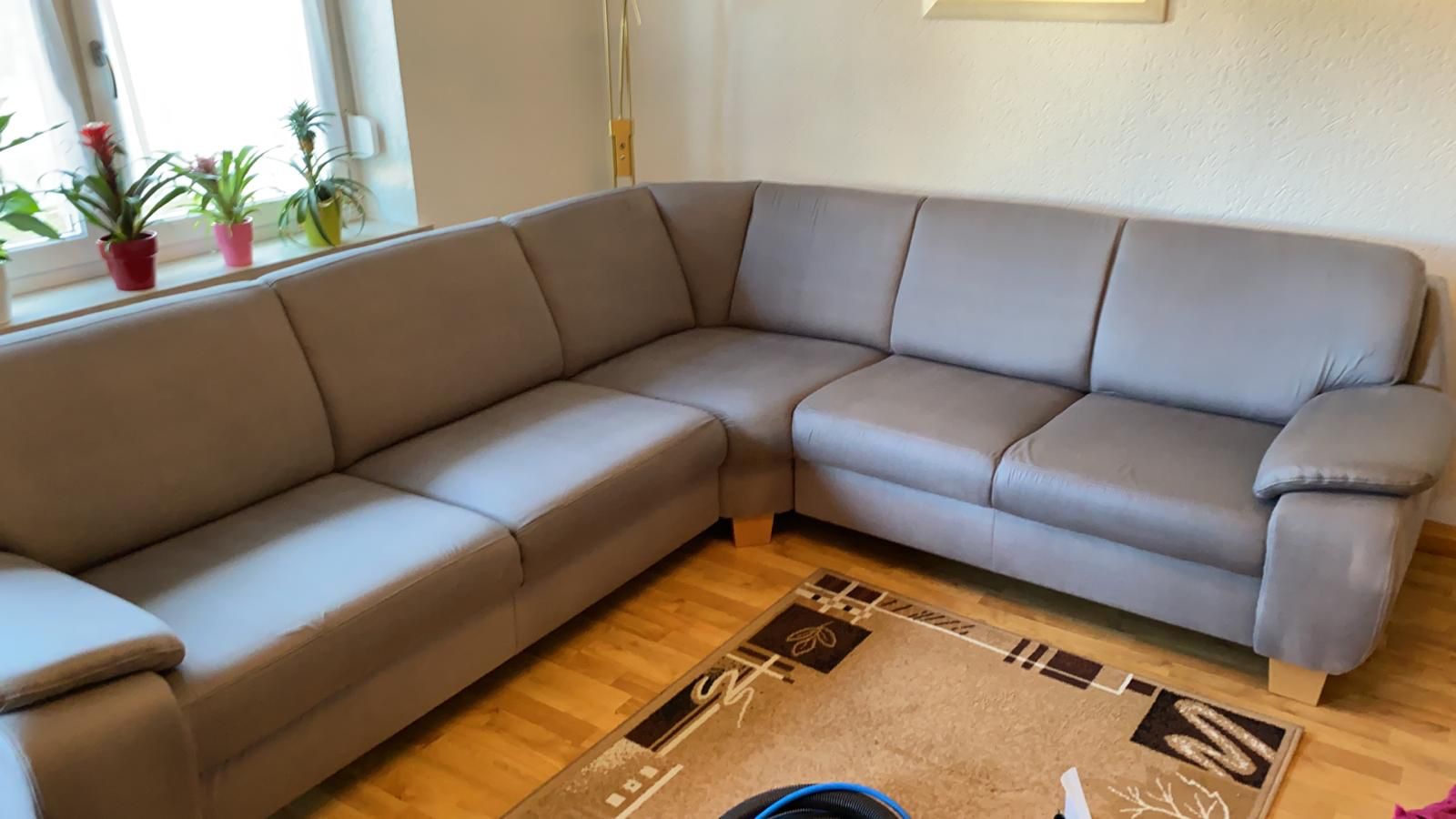 Großes Ecksofa nach der Polsterreinigung