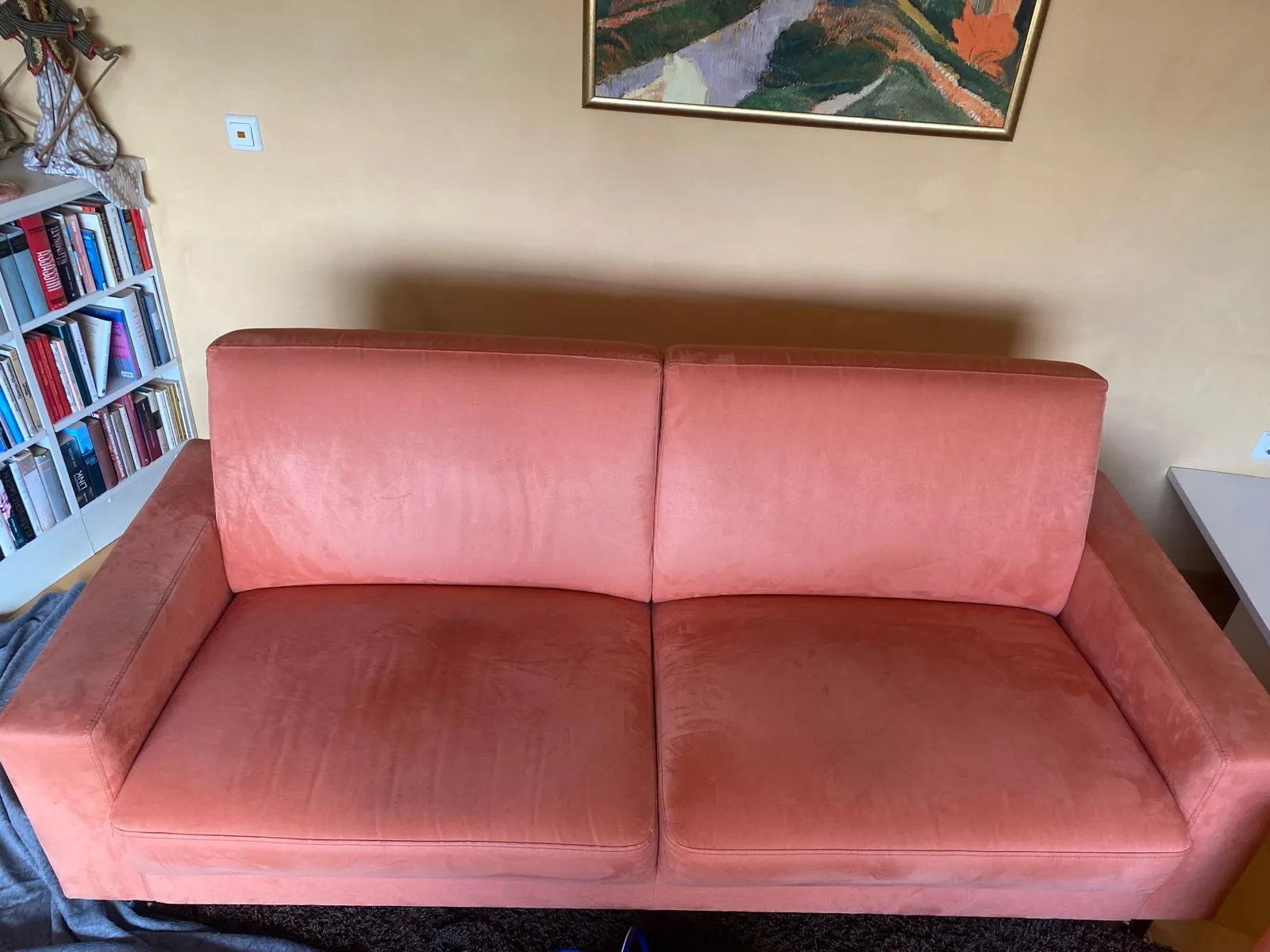 Vorher: Sofa · Mikrofaser vor der Reinigung