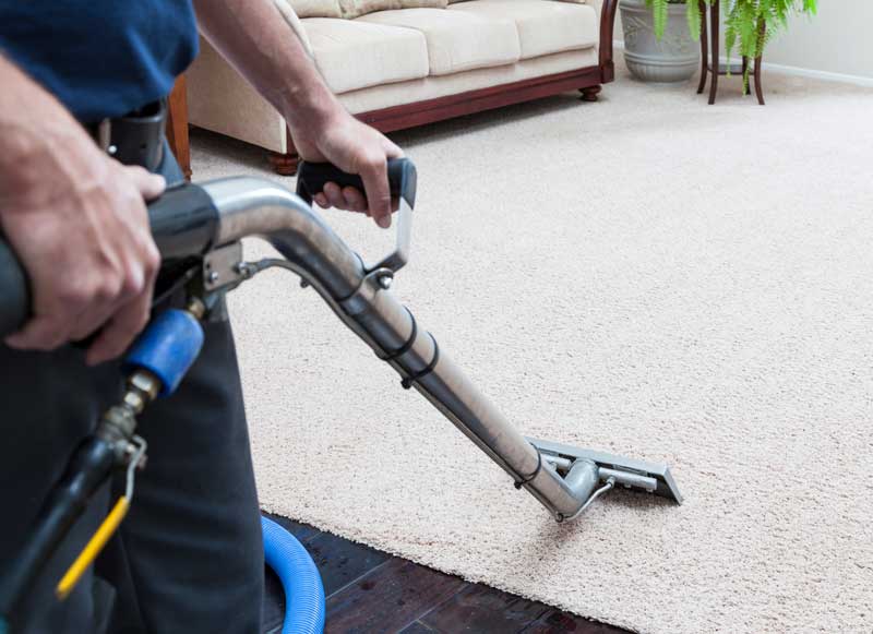 Teppichreinigung vor Ort mit Profi-Maschine
